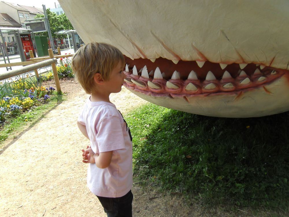 Mit dem Giganten der Urzeit »Carcharocles megalodon« auf dem Listplatz ist Sohn Tim (5 Jahre) auf dem Foto zu sehen. FOTO: HOMBU