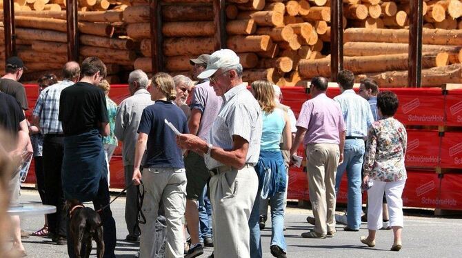 Holz war beim Erlebnistag auf  dem Schwörer-Gelände allgegenwärtig. Foto: Kozjek