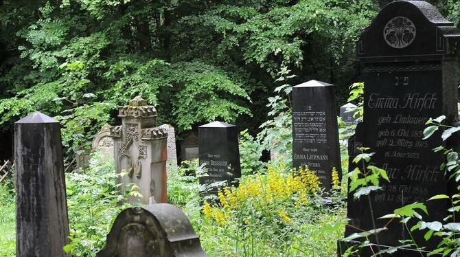 Ein Zeugnis von mehr als 200 Jahren jüdischer Geschichte: der Friedhof in Wankheim.