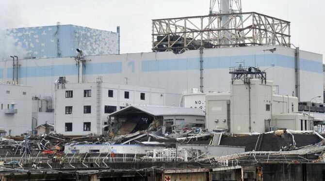 Seit dem verheerenden Erdbeben im Nordosten Japans entweicht aus dem beschädigten Kernkraftwerk in Fukushima Radioaktivität.