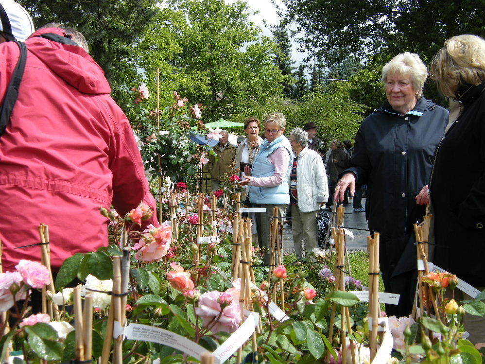 Rosenmarkt Mössingen 2011