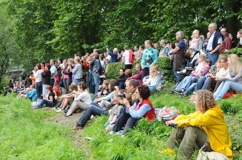 Stocherkahnrennen Tübingen 2011