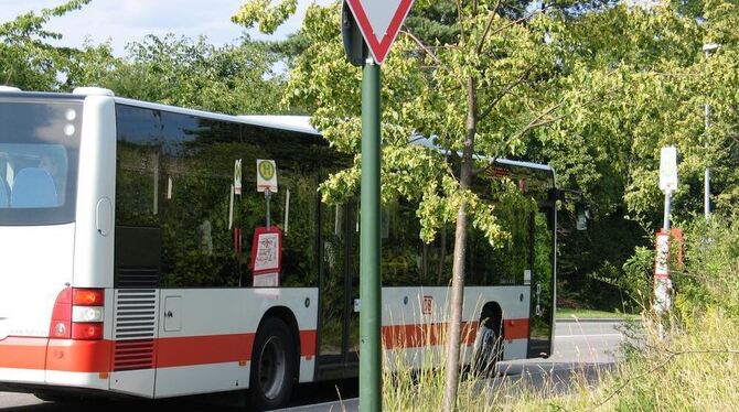 Busse bis zum Baugebiet Banweg: Das Haltestellen-Netz wurde ausgebaut. GEA-FOTO: PP