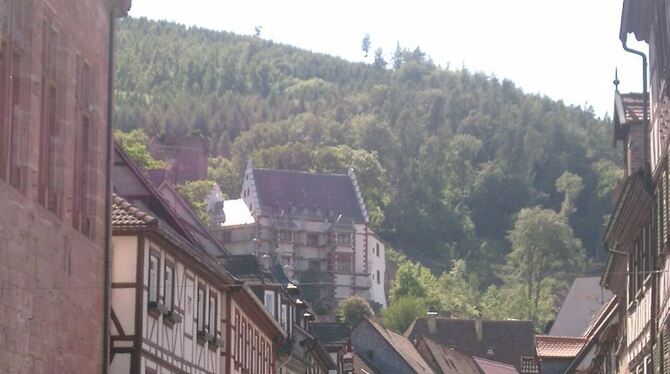 Viel besucht: Das mittelalterliche Miltenberg.