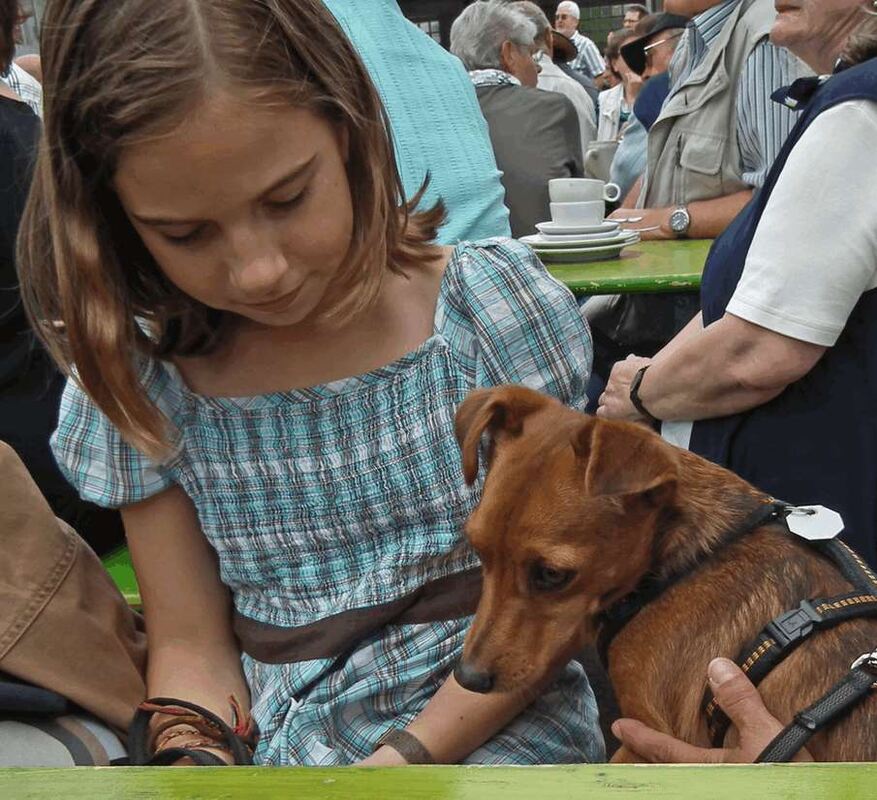 Dorffest Sickenhausen 2011