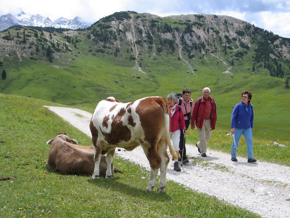 GEA Leserreise Gsieser Tal Südtirol