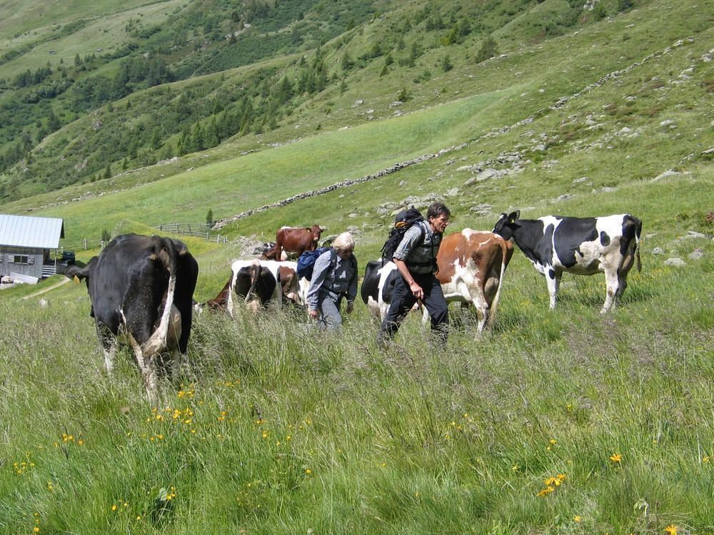 GEA Leserreise Gsieser Tal Südtirol