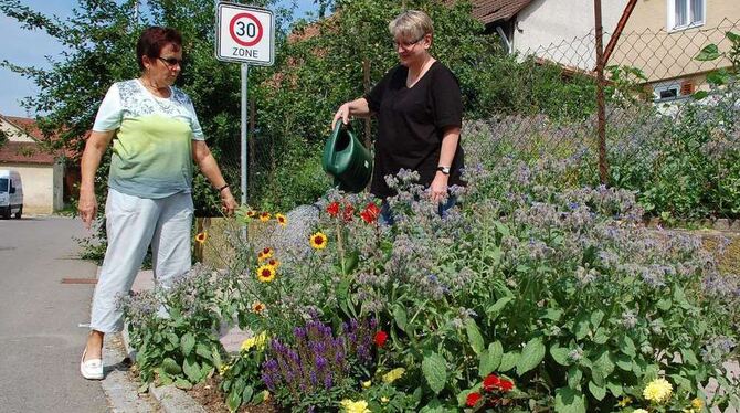 Rose Schneck (links) und Gisela Weber vom OGV kümmern sich um die Blütenpracht entlang der Wankheimer Hauptstraße.  GEA-FOTO: IS