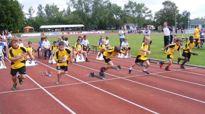 Start frei für die 50 Meter der Jungen. Top-Läufer Samuel Logan schaffte die Strecke in 7,89 Sekunden. FOTO: BÖRNER