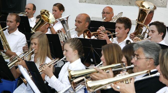 Von den Tönen, die der Posaunenchor seinen Instrumenten entlockte, waren die Zuhörer in Honau begeistert. FOTO: LEIPPERT