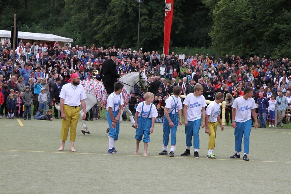 schaeferlauf_20111 (jpg)