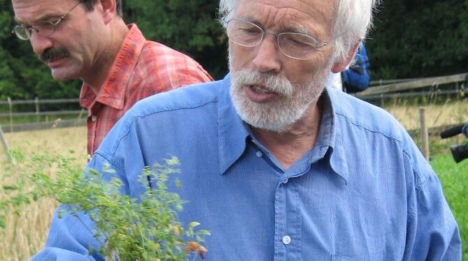 Mit Linsenpflänzchen am Feldrand: Woldemar Mammel. GEA-FOTO: GEIGER