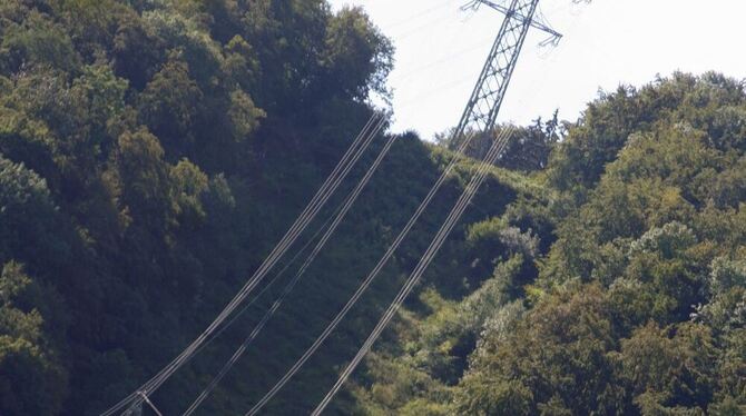 Den Gipfel vor Augen hat Metzingen noch einen langen Weg vor sich, um Anfang 2013 das städtische Stromnetz in Eigenregie zu betr