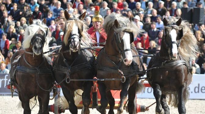 Geballte Kraft und Schönheit: Römischer Kampfwagen, wie er bei der Hengstparade wieder zu sehen sein wird. FOTO: PR