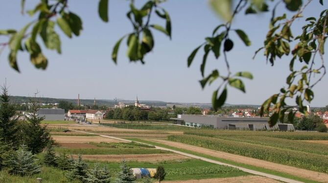 Braike-Wangen - hier wollte vor drei Jahren der Modekonzern Boss noch ein großes Warenlager bauen, 300 Meter lang, 180 Meter bre