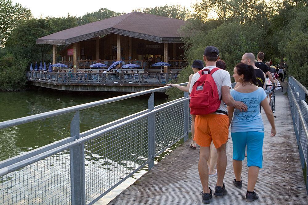 Der Aileswasensee in Neckartailfingen August 2011