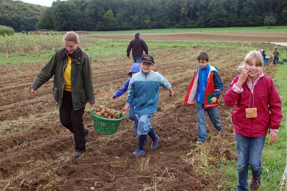 FOTO: Bräuninger