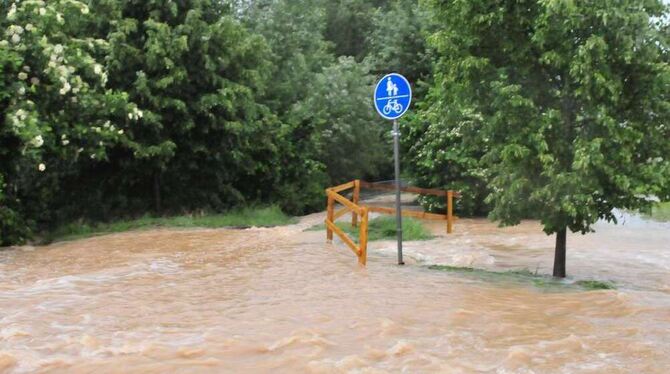 Wenn das Hochwasser kommt, bahnt es sich mit Naturgewalt seinen Weg. ARCHIVFOTO: MEYER