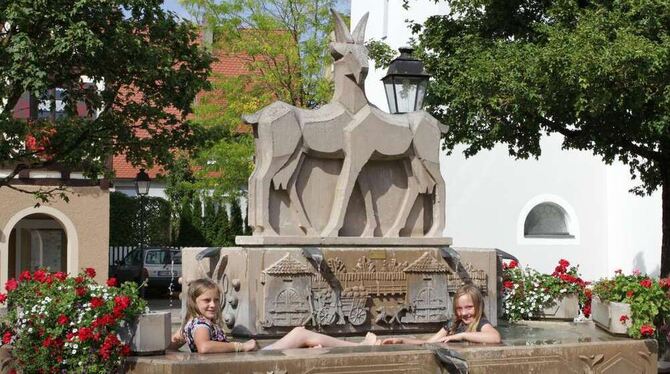 Hayingen hat nicht nur gute Luft, sondern auch schöne Plätze. Der neu gestaltete Karlsplatz, aber auch der »Goißa«-Brunnen vor d