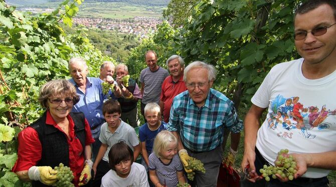 Weinlese Metzingen 2011