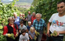 Weinlese Metzingen 2011