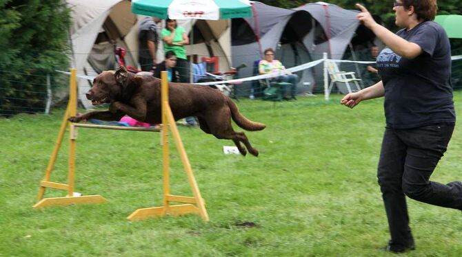 Agility ist eine Sportart, bei der Hund und Hundehalter als Team gefragt sind. Jetzt kamen in Bad Urach je hundert Agility-Anhän