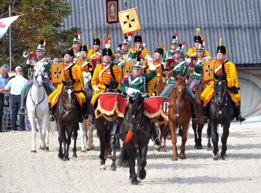 Hengstparade Marbach September 2011