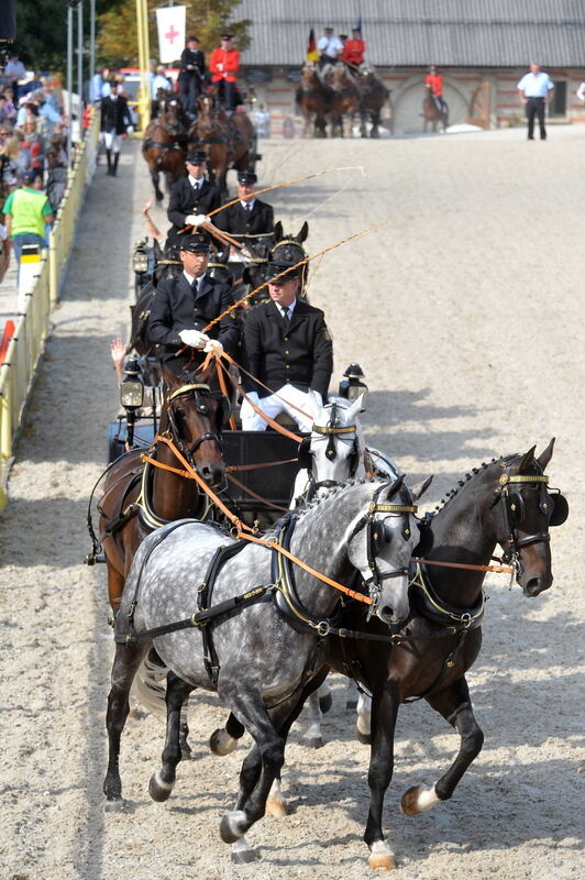 Hengstparade Marbach September 2011