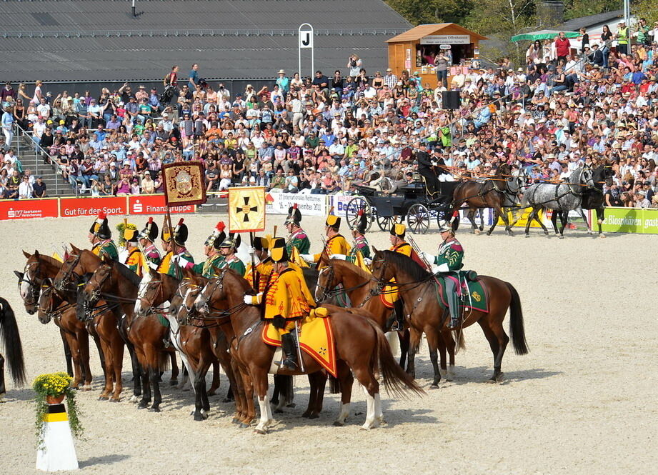 Hengstparade Marbach September 2011