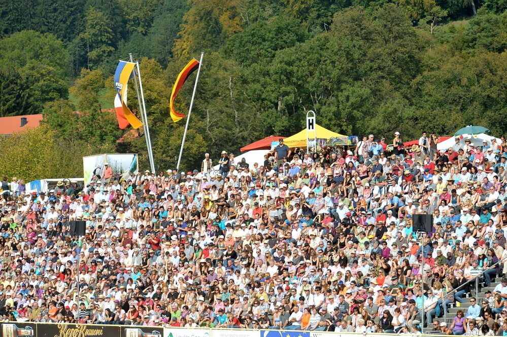 Hengstparade Marbach September 2011