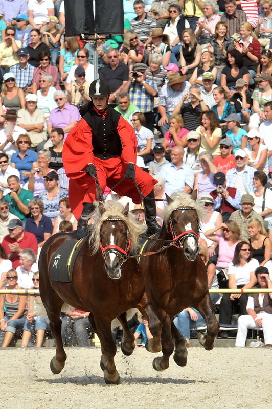 Hengstparade Marbach September 2011