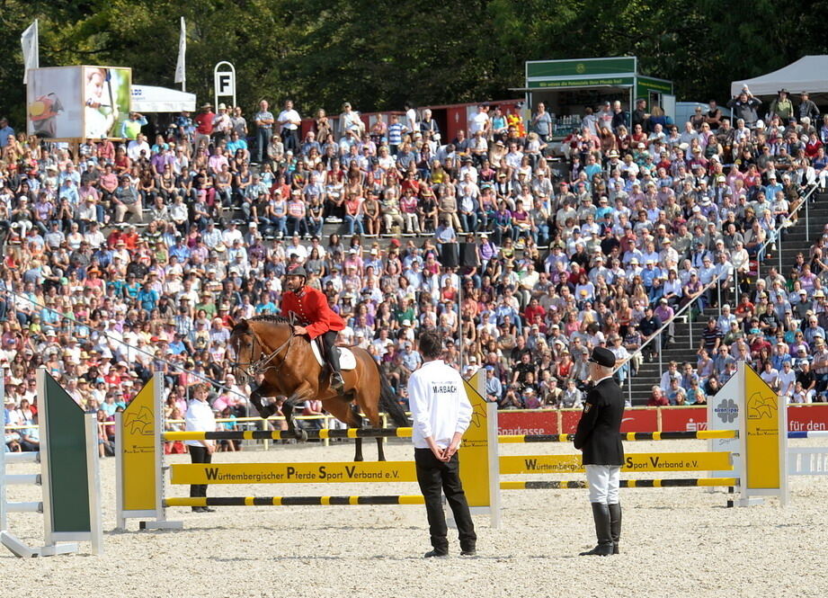 Hengstparade Marbach September 2011