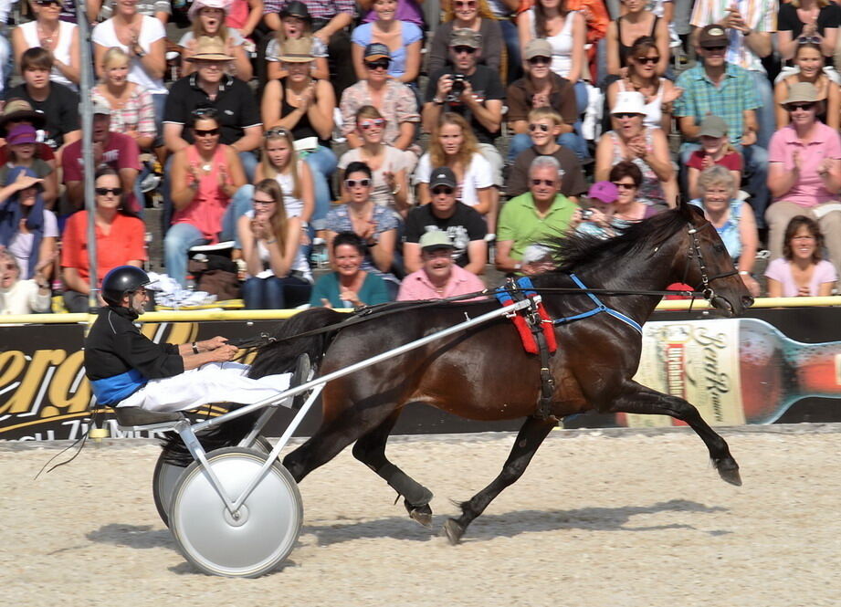 Hengstparade Marbach September 2011