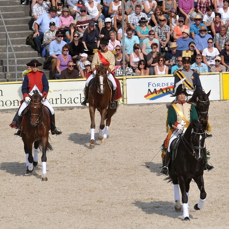 Hengstparade Marbach September 2011