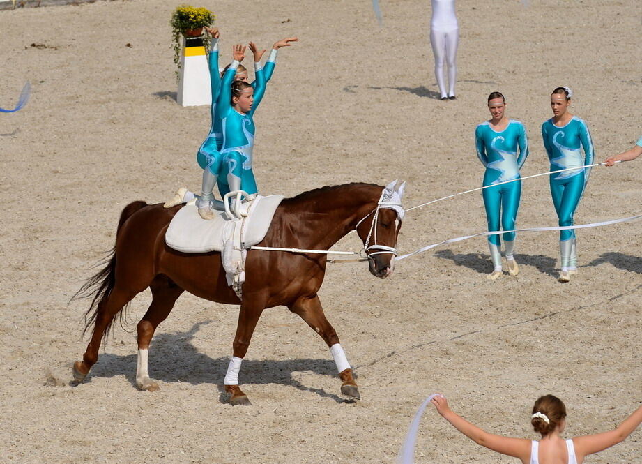 Hengstparade Marbach September 2011