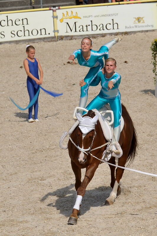 Hengstparade Marbach September 2011