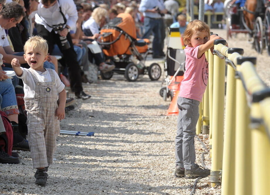 Hengstparade Marbach September 2011