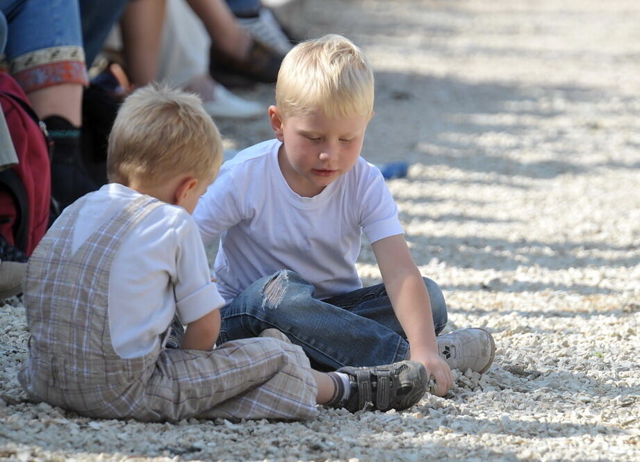 Hengstparade Marbach September 2011