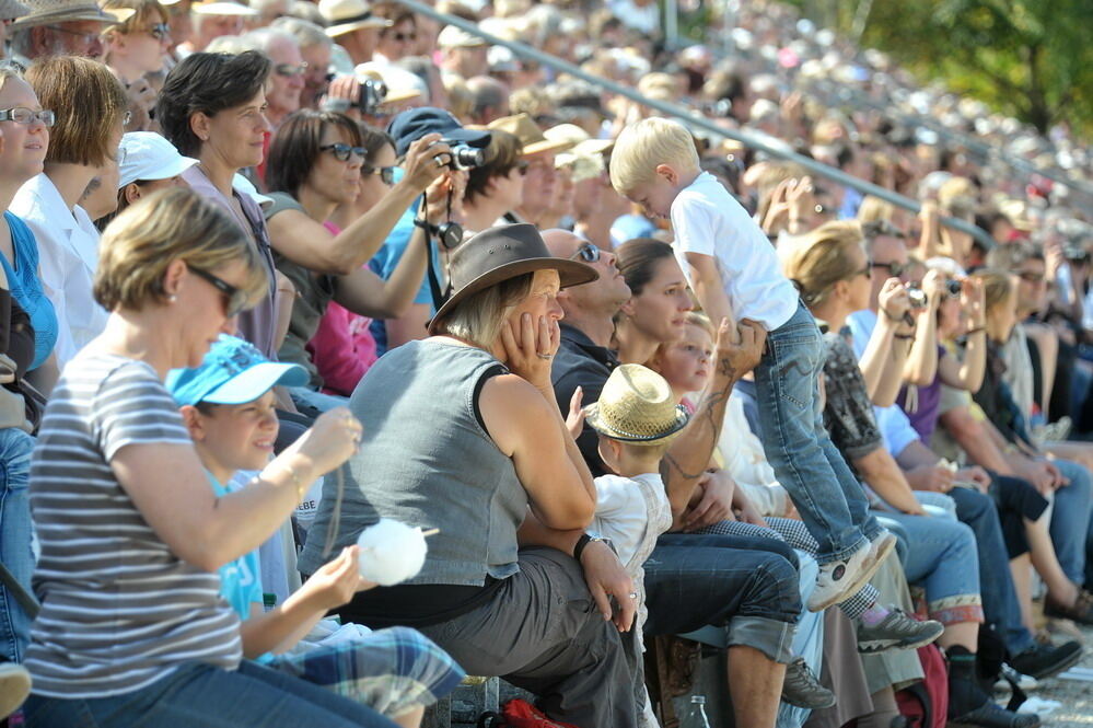 Hengstparade Marbach September 2011