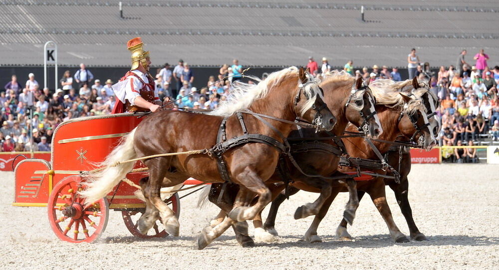 Hengstparade Marbach September 2011