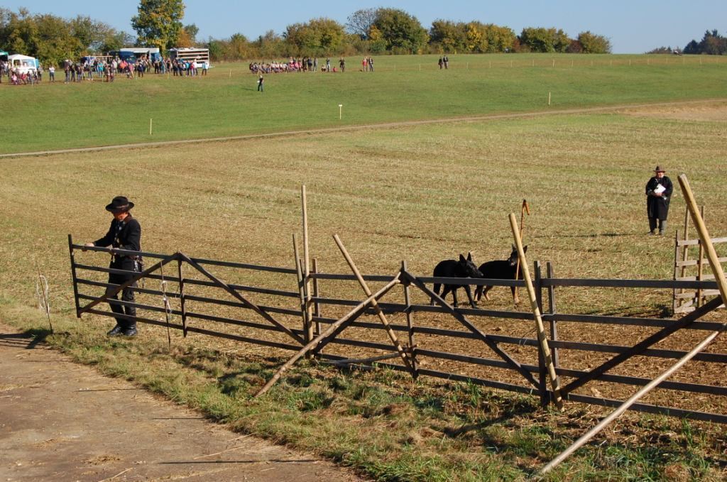 Bundesleistungshüten in Mägerkingen 2011