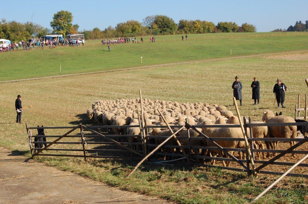 Bundesleistungshüten in Mägerkingen 2011