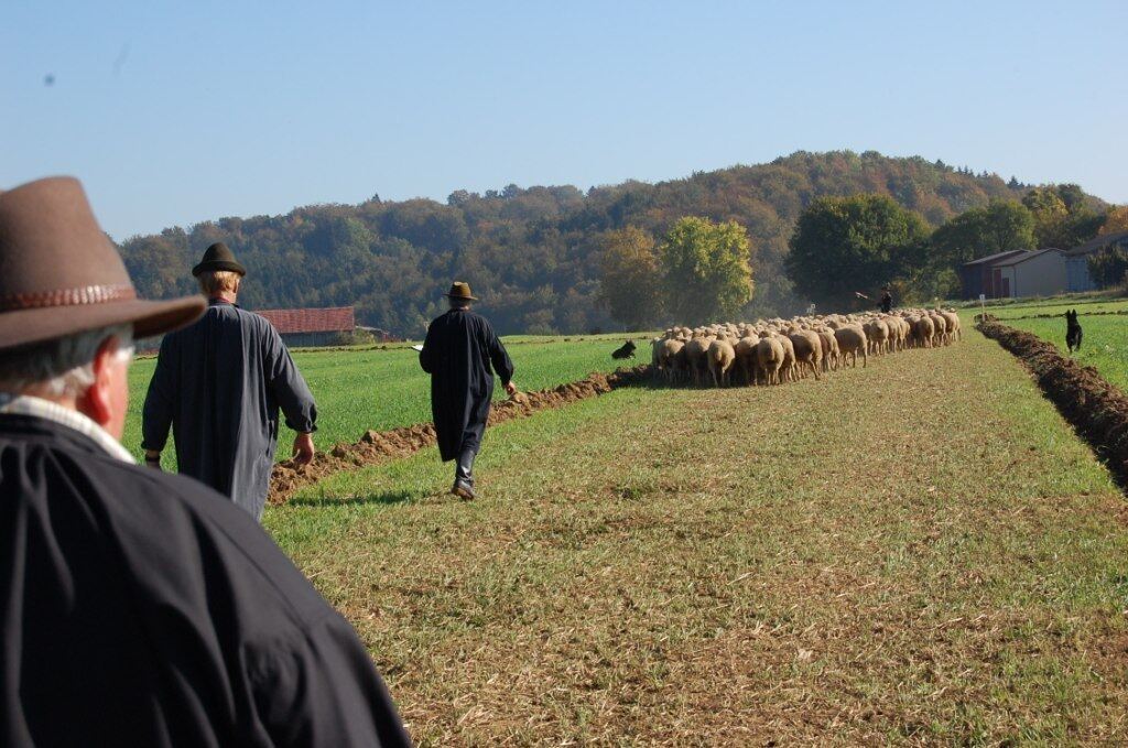 Bundesleistungshüten in Mägerkingen 2011