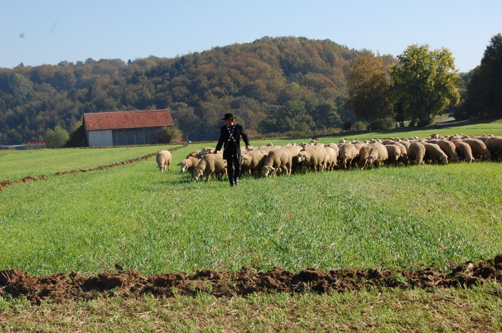 Bundesleistungshüten in Mägerkingen 2011