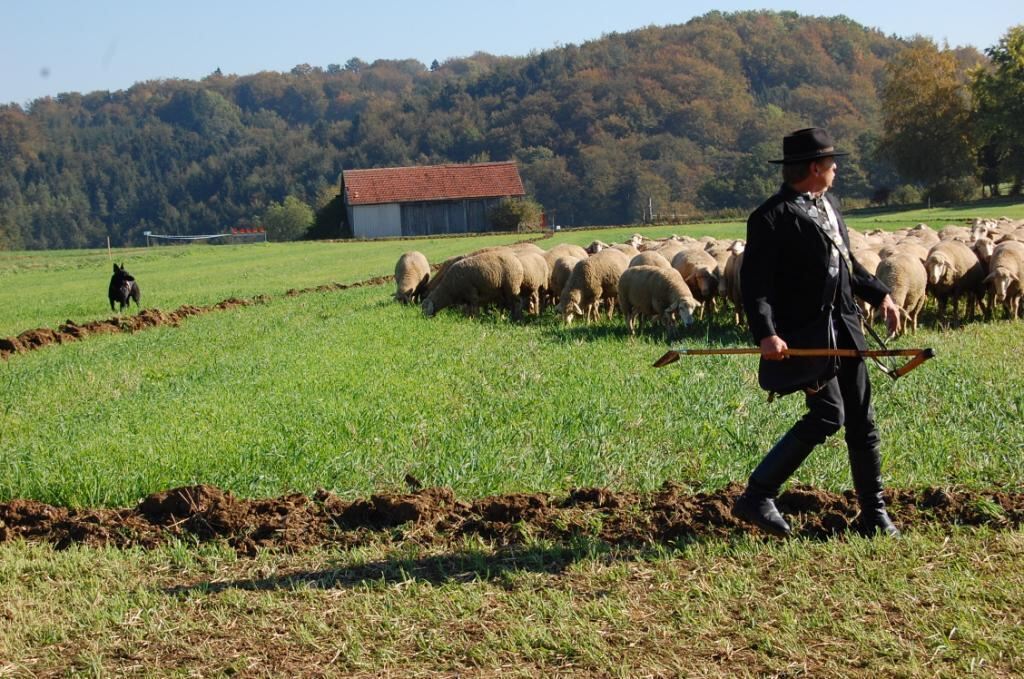 Bundesleistungshüten in Mägerkingen 2011