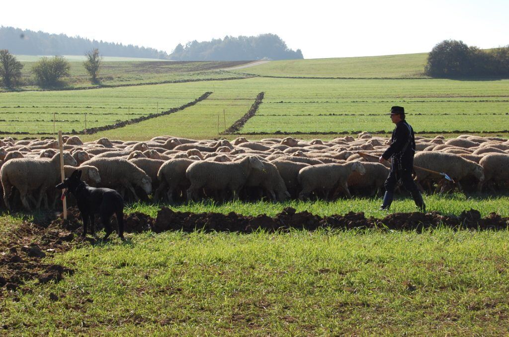 Bundesleistungshüten in Mägerkingen 2011