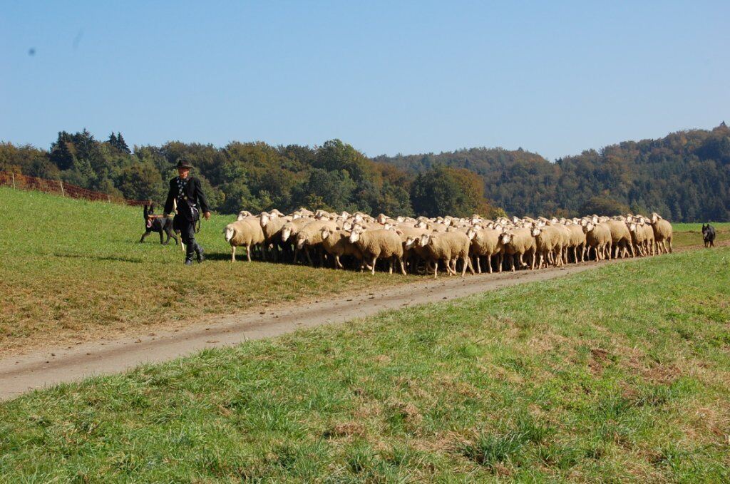 Bundesleistungshüten in Mägerkingen 2011