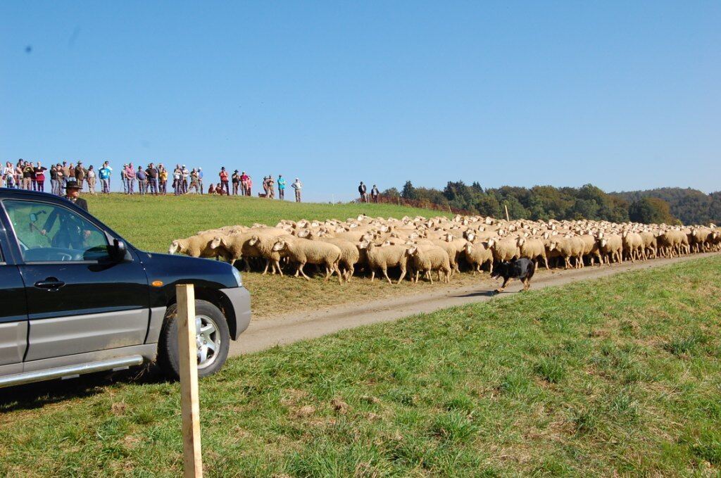 Bundesleistungshüten in Mägerkingen 2011