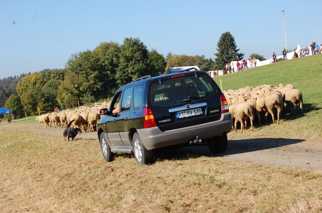 Bundesleistungshüten in Mägerkingen 2011