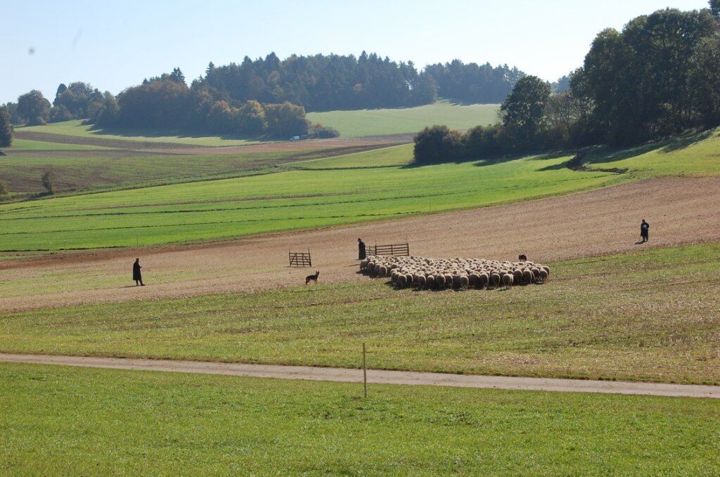 Bundesleistungshüten in Mägerkingen 2011